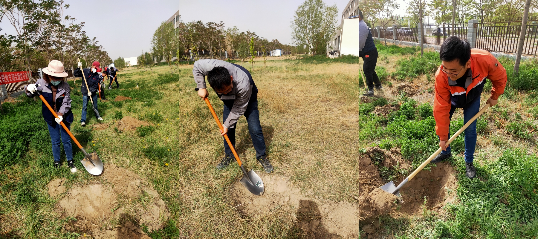 202205261702421653555762393612.jpg 原图2_副本.jpg