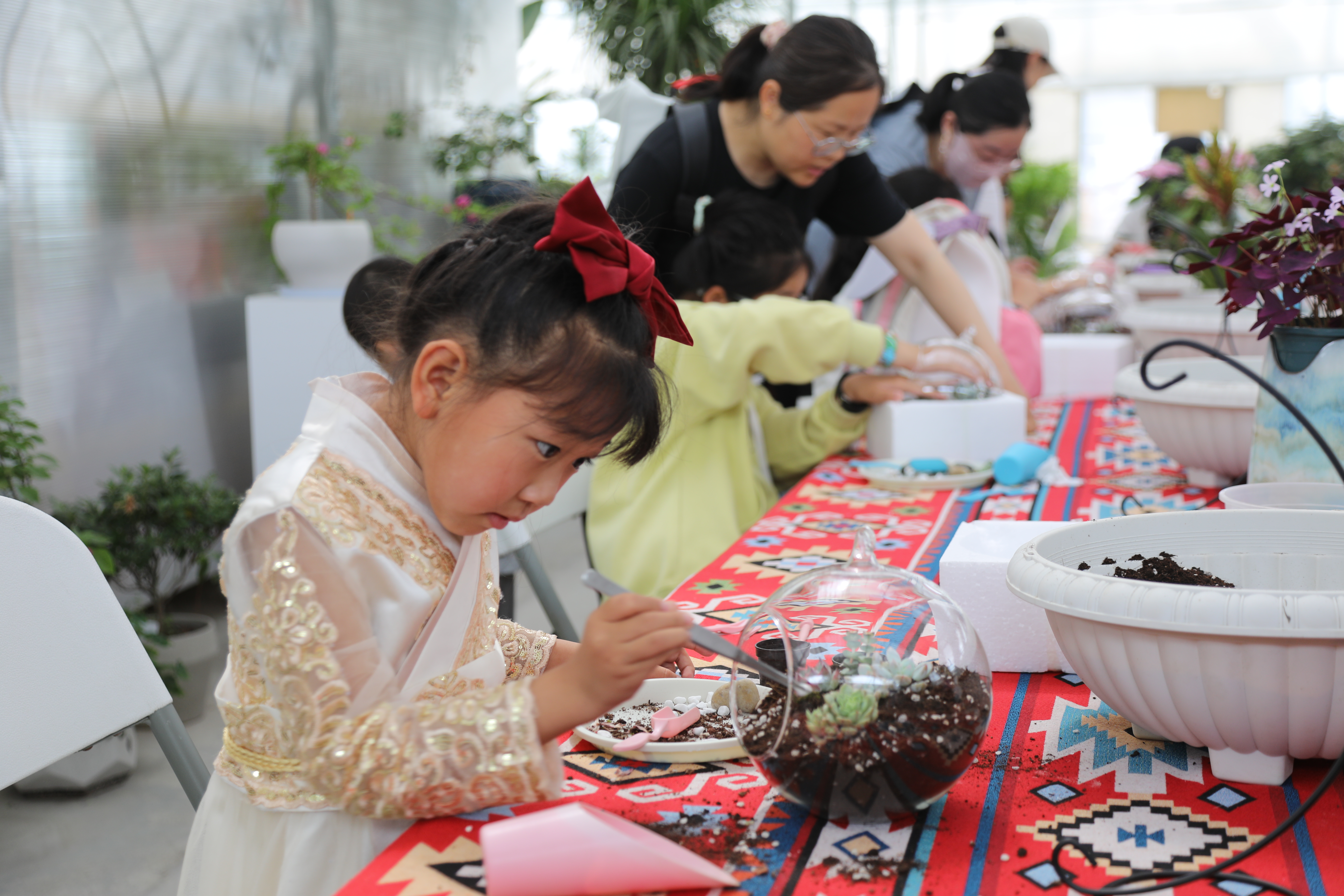 202505201101421747710102862470.jpg 微信图片_20250519173115.jpg