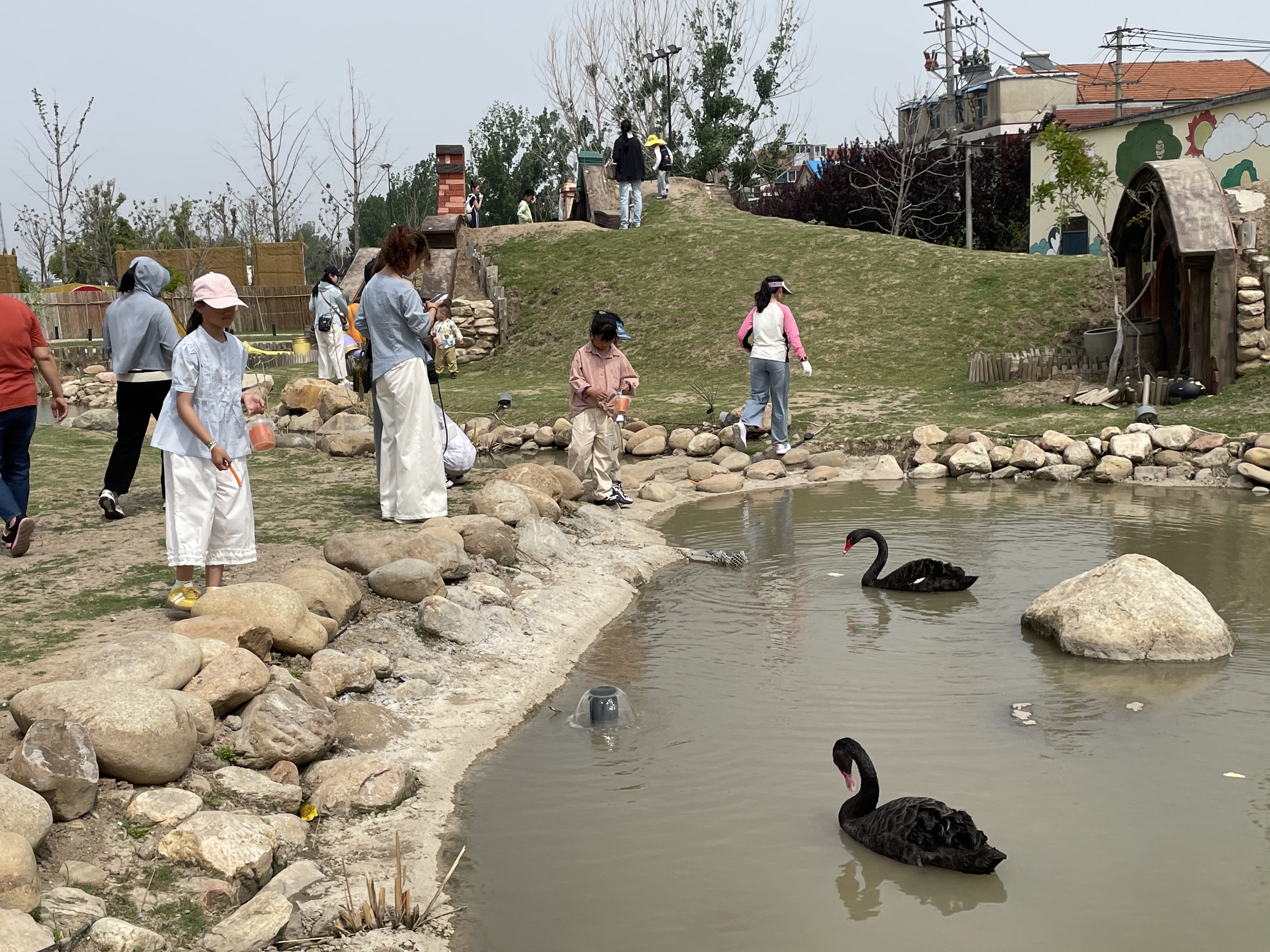 202505201102101747710130429483.jpg 微信图片_20250519173207.jpg