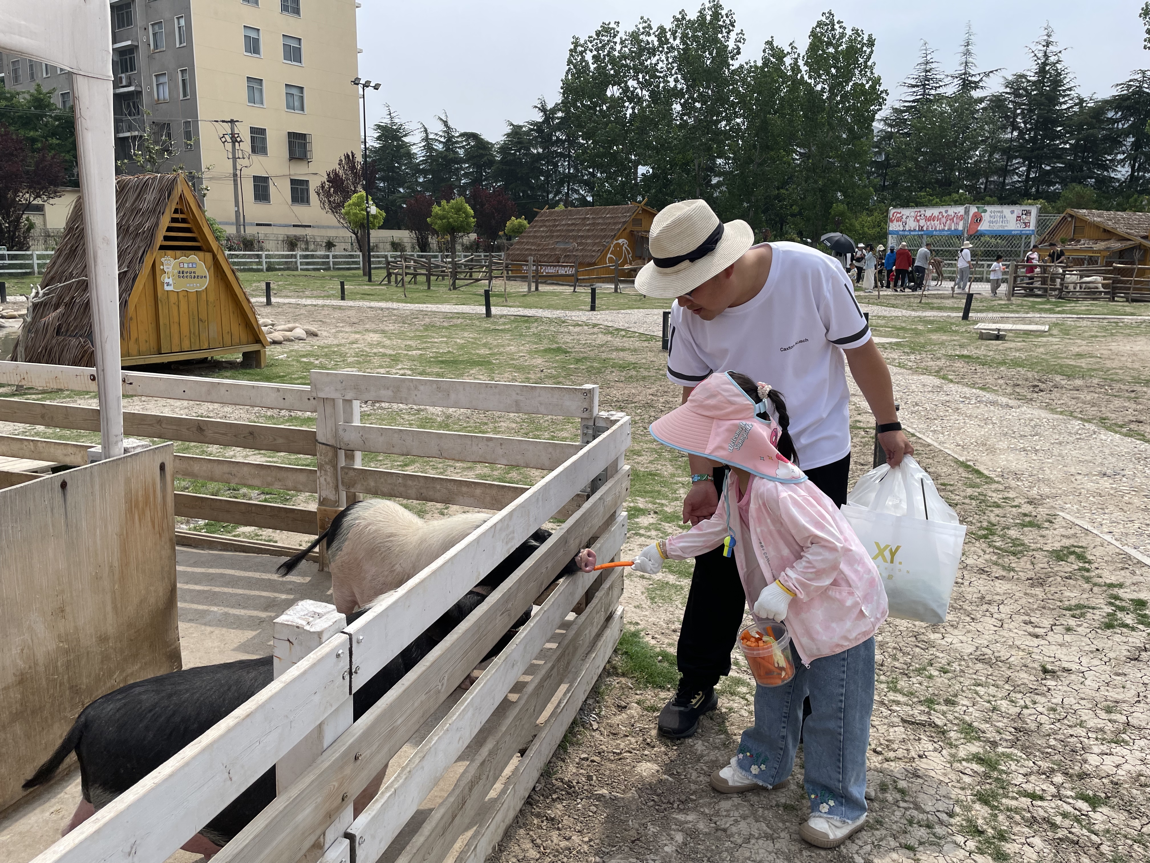 202505201102221747710142116630.jpg 微信图片_20250519173212.jpg